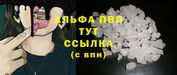 твердый Инта