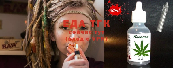 твердый Инта