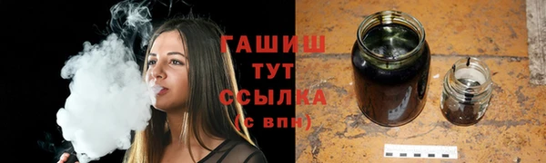 твердый Инта