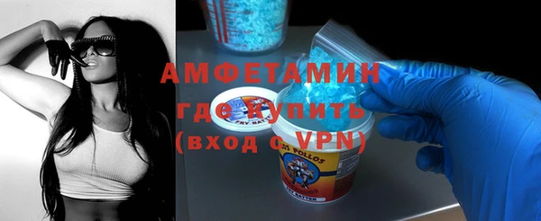 твердый Инта