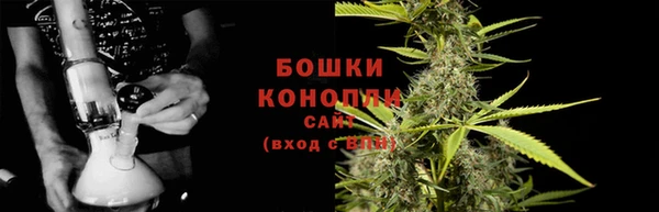 твердый Инта