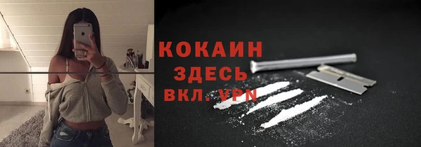 твердый Инта