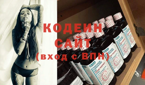 твердый Инта