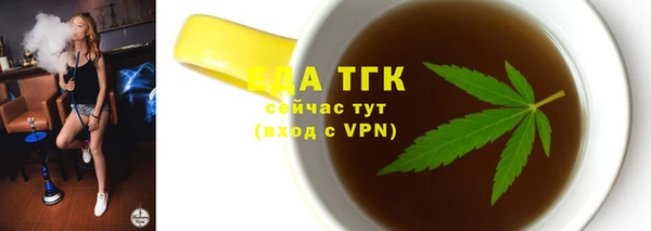 твердый Инта
