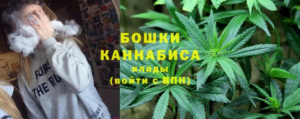 эйфоретик Инсар