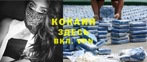 твердый Инта