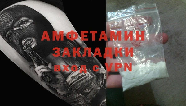 твердый Инта