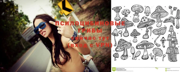 твердый Инта