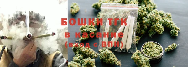 эйфоретик Инсар