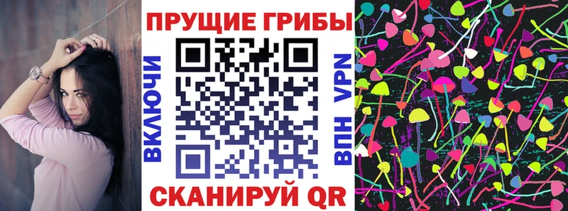 Купить где Воткинск Псилоцибиновые грибы GOLDEN TEACHER